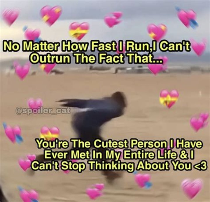 10 hilarious memes you'll only understand if you have a crush