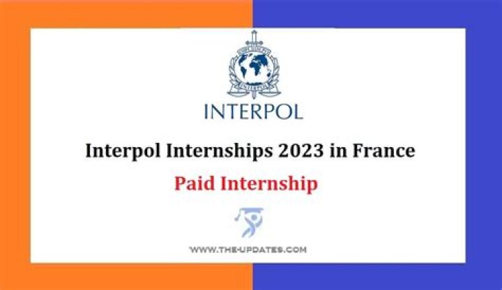Are Interpol internships paid?