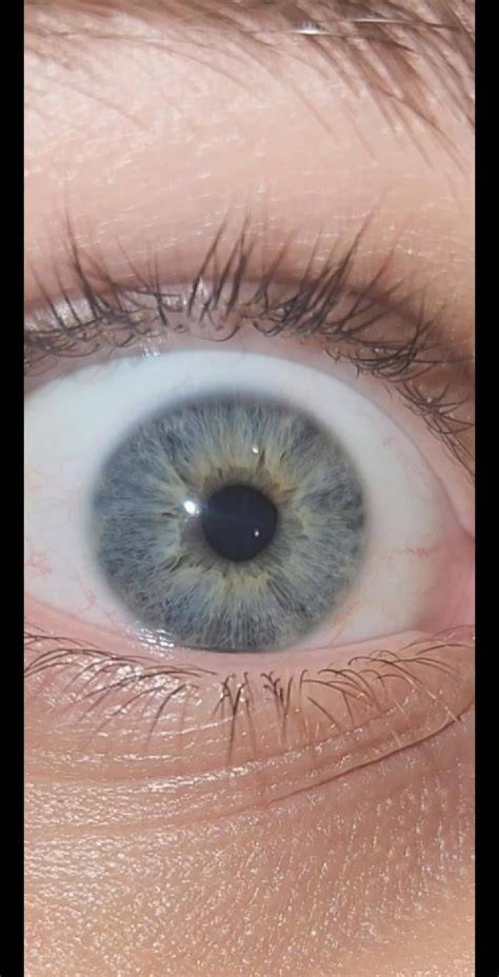 Are my eyes blue or gray?