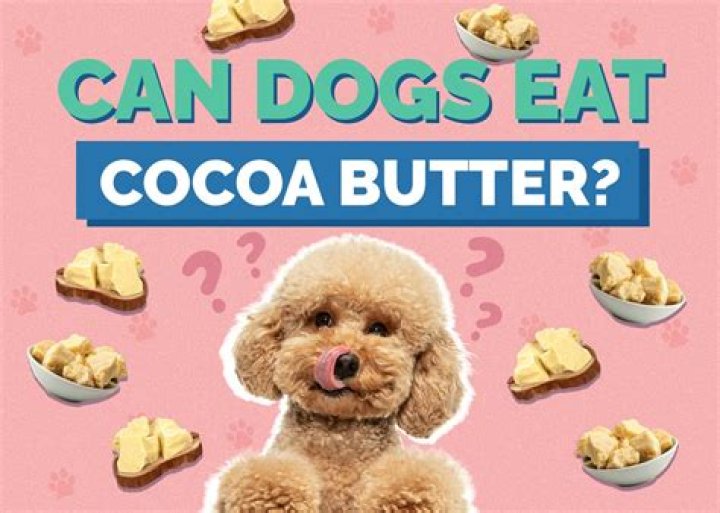 Can dogs lick cocoa butter?