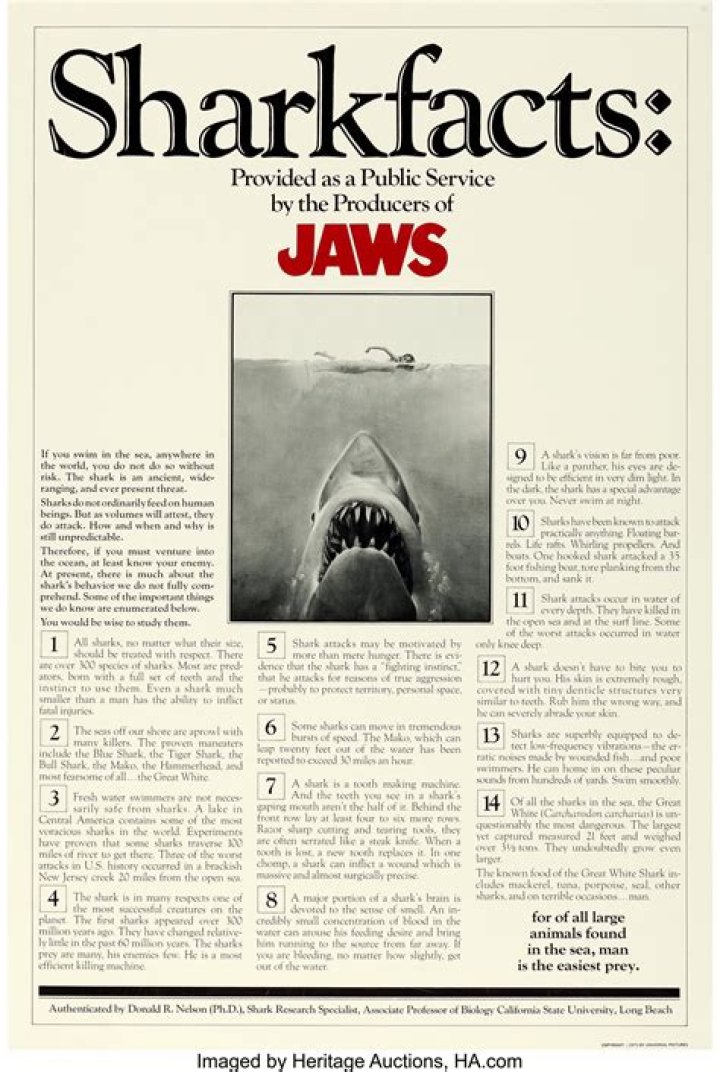 Did Jaws make a profit?