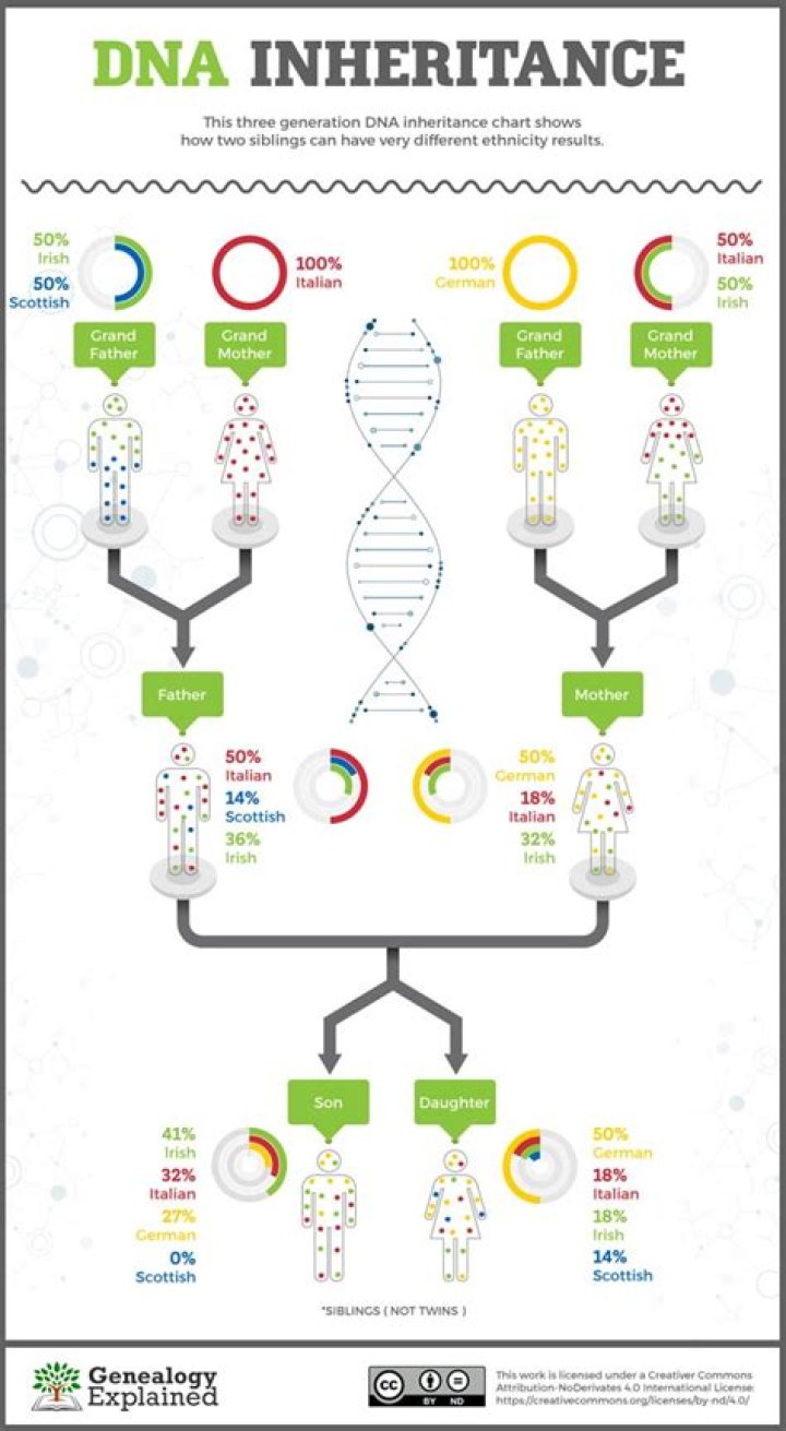 Do brothers have the same DNA?