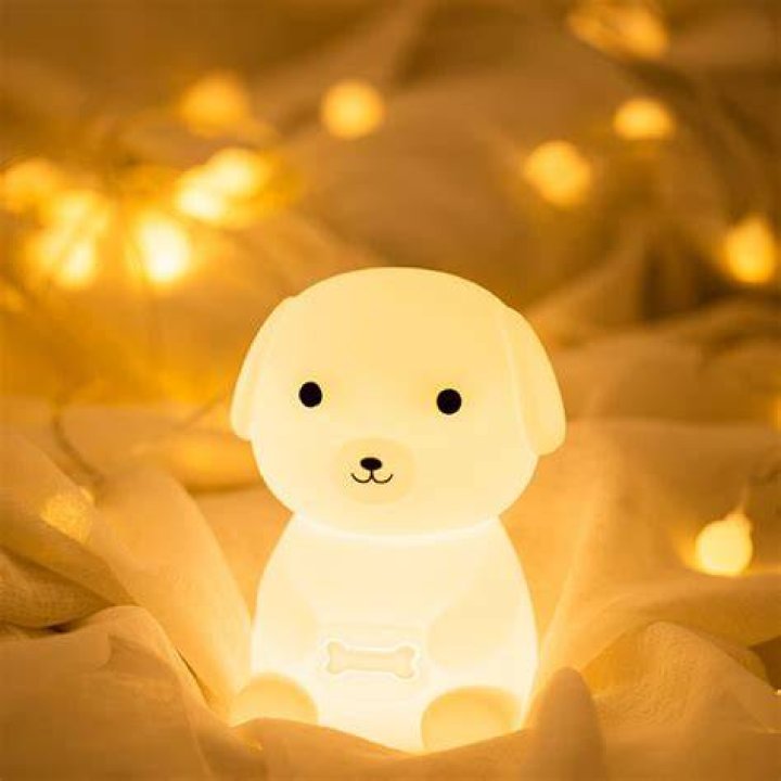 Do bunnies need night lights?
