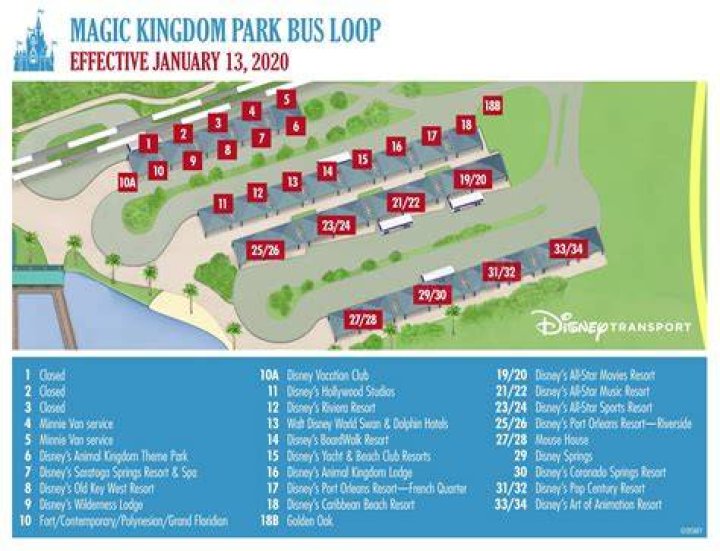Do Disney buses go directly to Magic Kingdom?