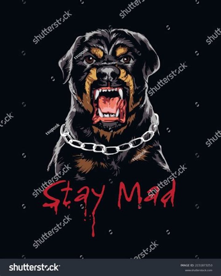 Do dogs stay mad at you?