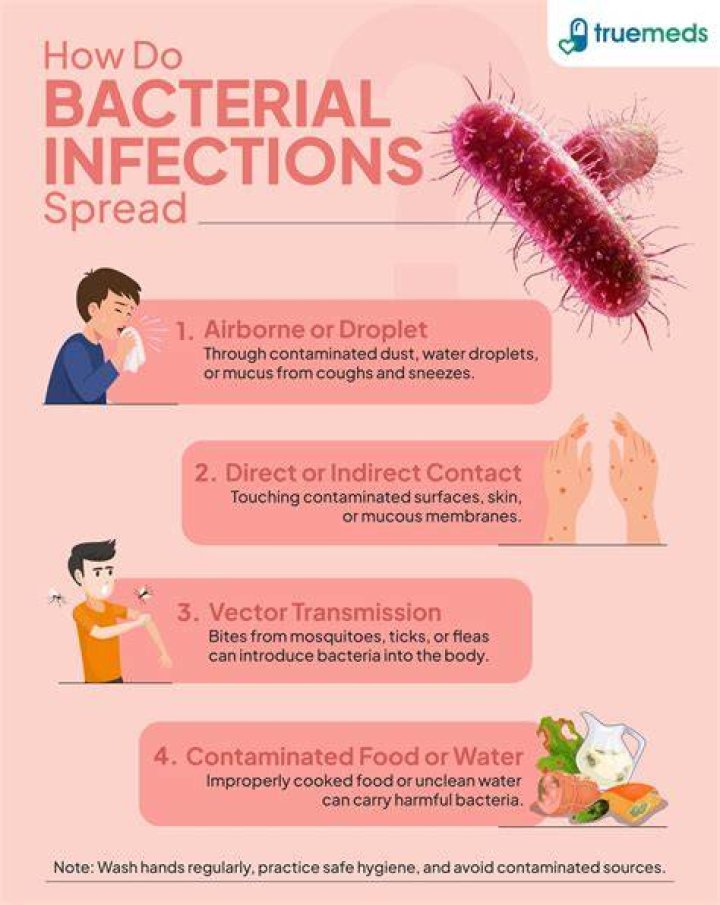 Do germs spread in hot or cold?