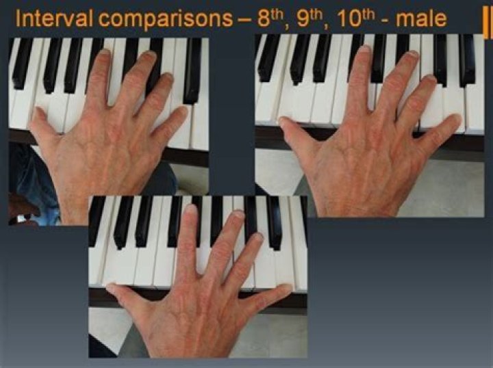 Do pianists have muscular hands?