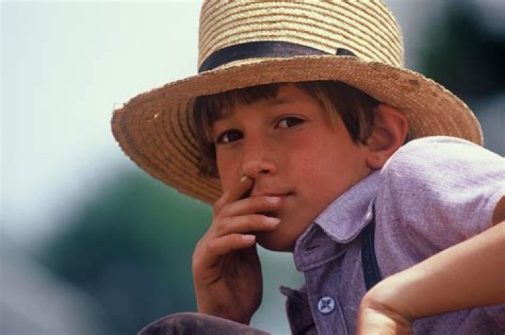 Do siblings marry Amish?