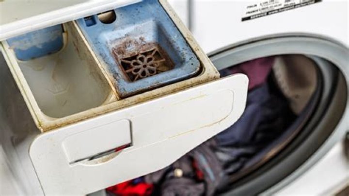 Does fabric softener cause mold in washing machine?