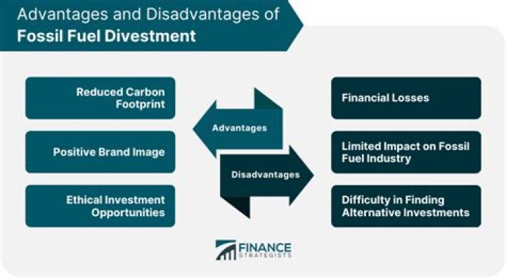 Does fossil fuel divestment work?