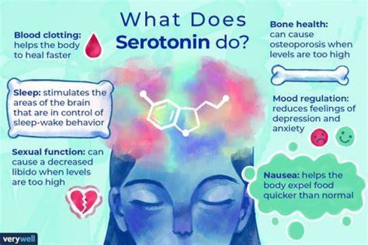 Does sunshine release serotonin?