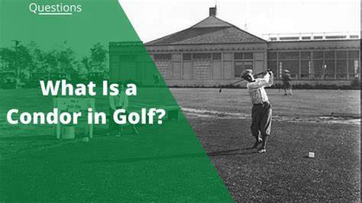 Has anyone made a condor in golf?