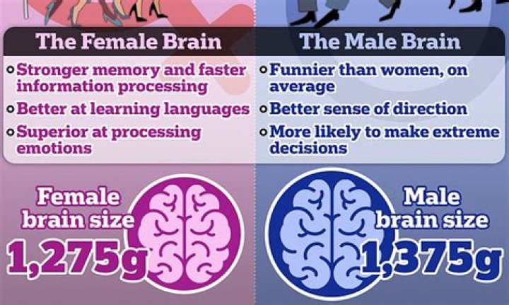 How are smart people's brains different?