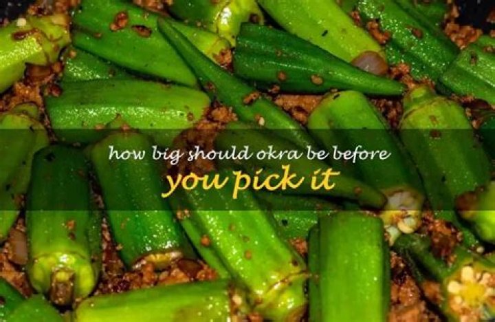 How big should Okra be before you pick it?