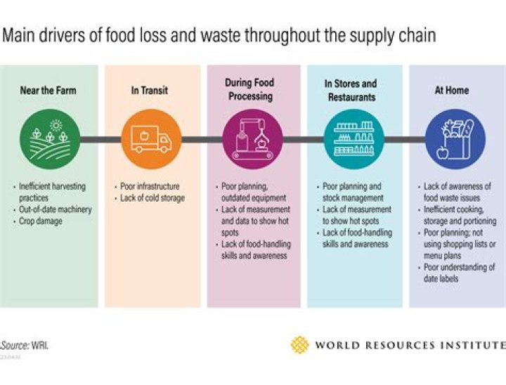 How do consumers contribute to food waste?