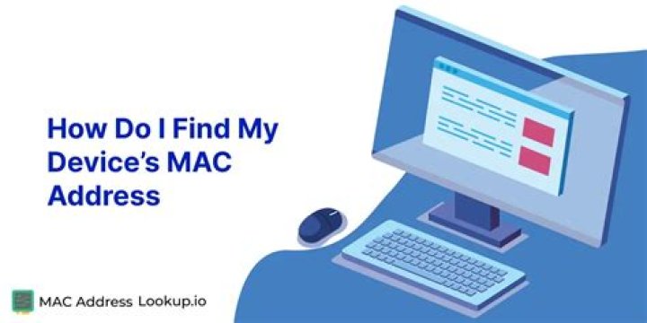 How do I find my switch MAC address?