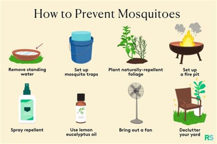 How do I keep mosquitoes off my patio naturally?