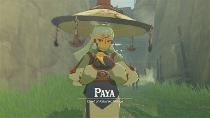 How do I pay Paya to bed?