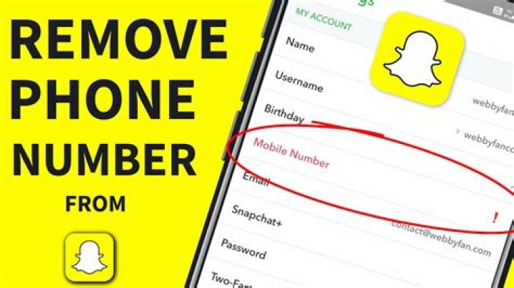 How do I remove my phone number from the Internet?
