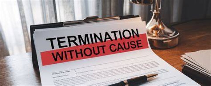 How do you explain termination without cause?