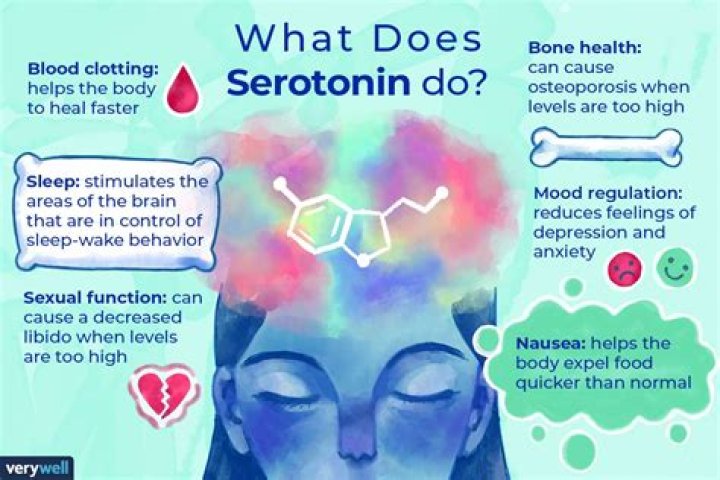 How do you get serotonin?