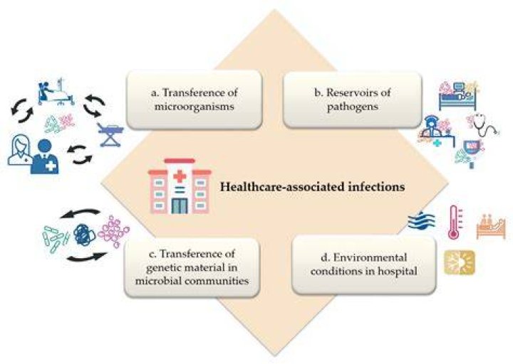 How do you Minimise the spread of infection within the work setting?