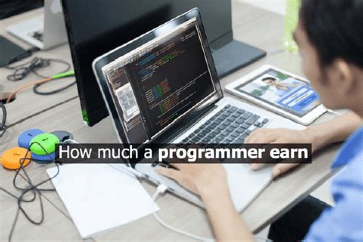 How much does a beginner programmer make?