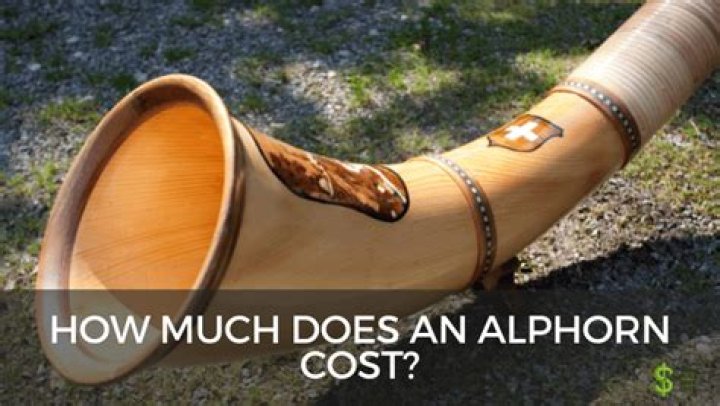 How much does an alphorn weigh?