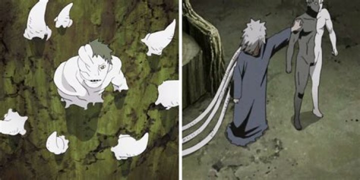 How was White Zetsu created?