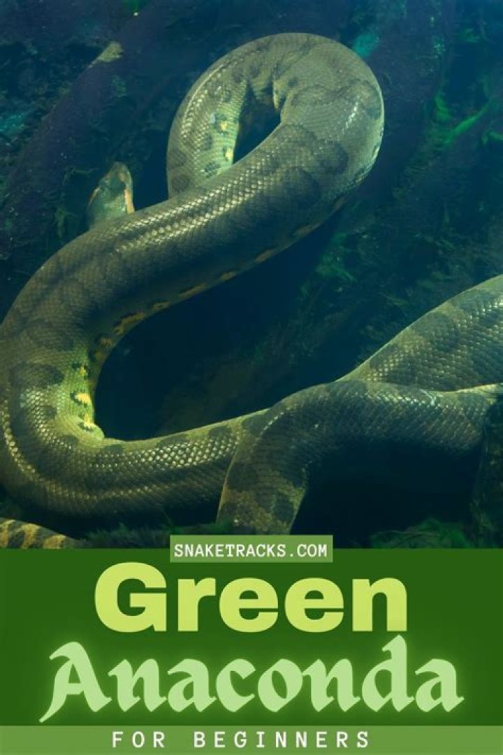 Is Anaconda good for beginners?