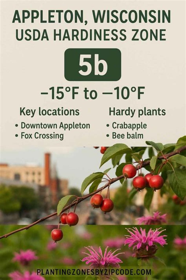 Is Appleton WI growing?