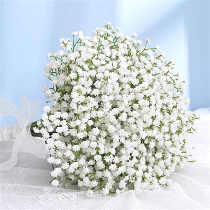 Is Baby's Breath safe for cakes?