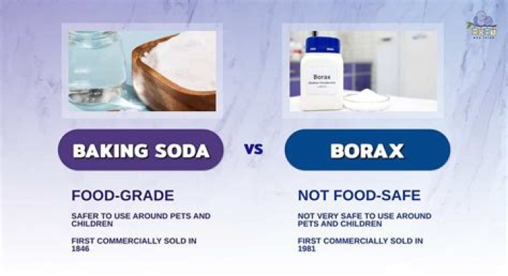 Is baking soda and borax the same thing?