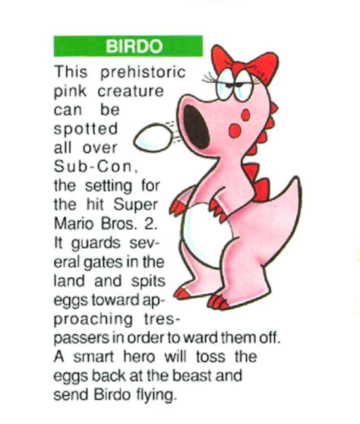 Is Birdo a male?