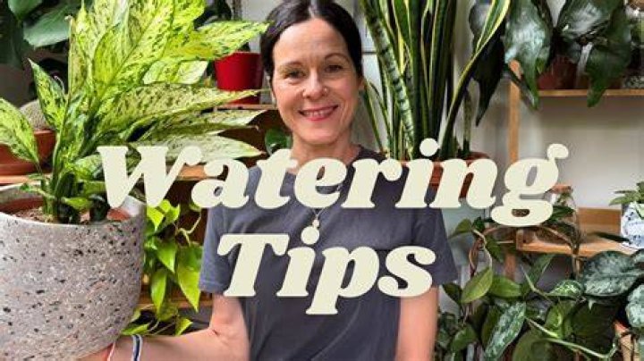 Is bottom watering better than top watering?