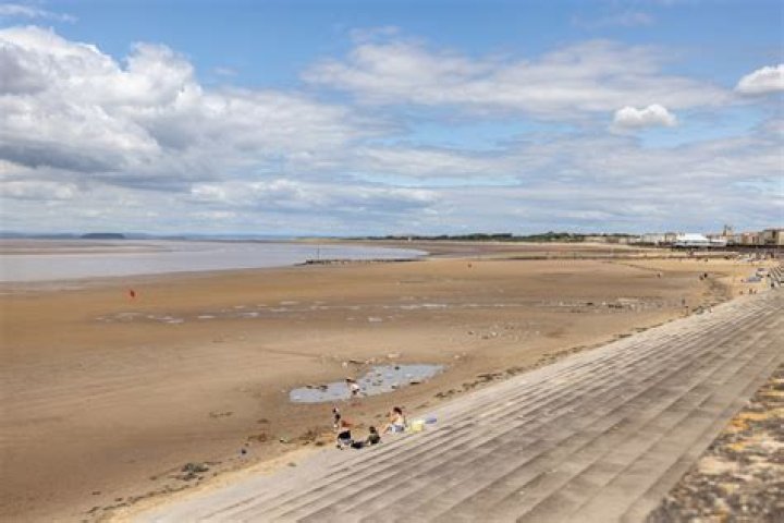 Is Burnham on Sea a dog friendly beach?