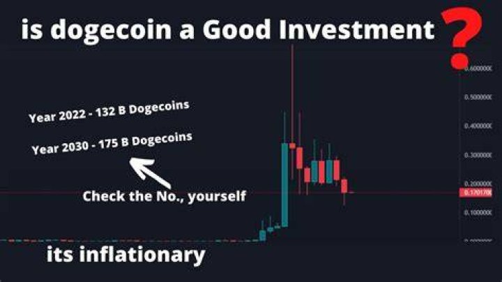Is Dogecoin a good investment 2021?
