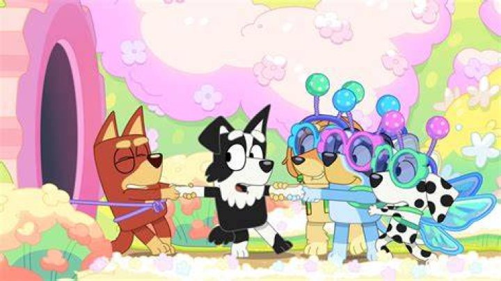 Is Mackenzie on Bluey a girl?