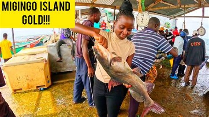 Is migingo in Kenya or Uganda?