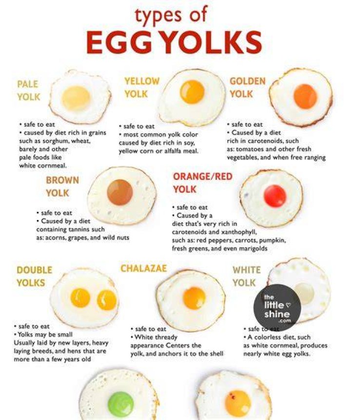 Is Red egg healthy?