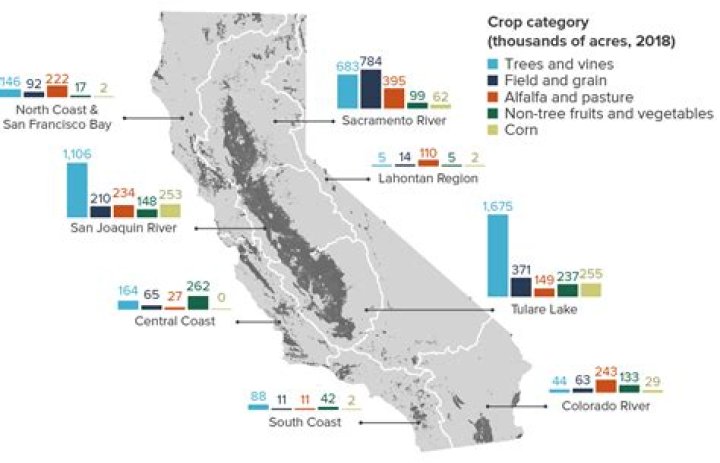 Is rice farmed in California?