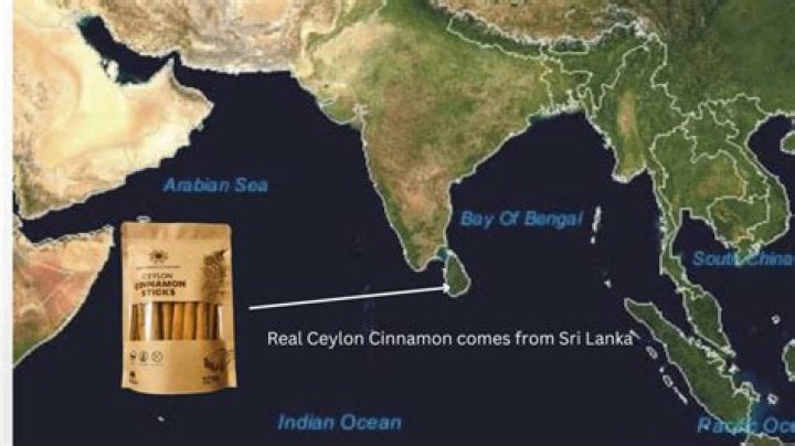 Is spice Island cinnamon Ceylon?