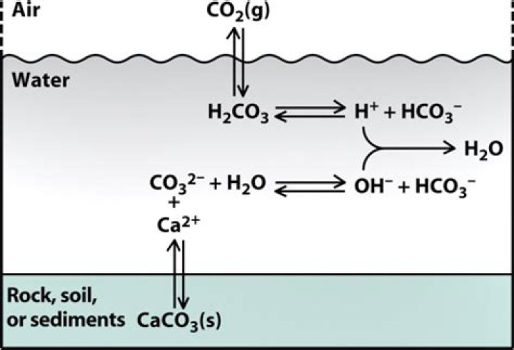 What are bicarbonates in water?