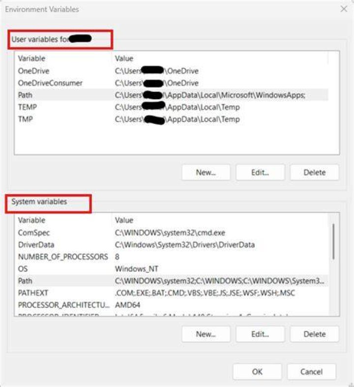What are system variables in Windows?
