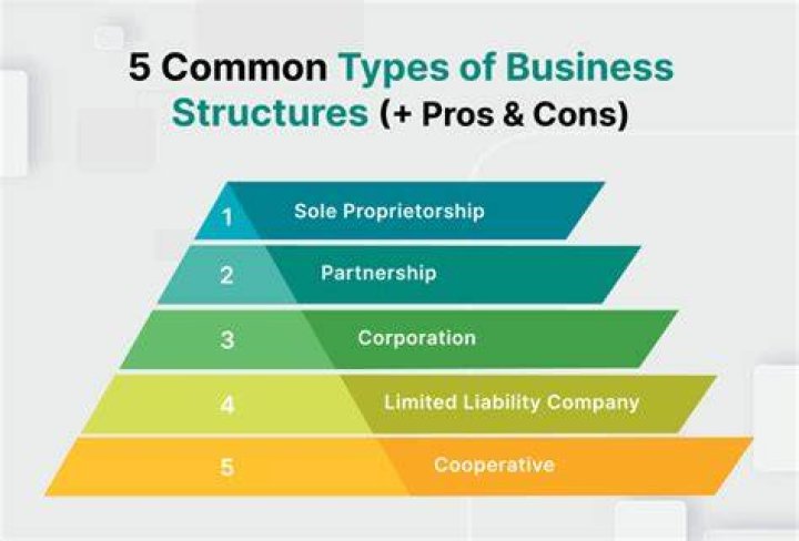 What are the 4 types of structures?