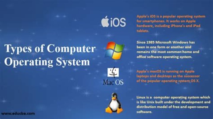 What are the different types of computer operating systems?