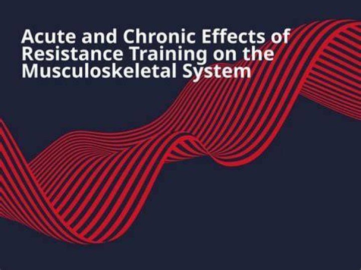 What are the effects of resistance training on the muscular and skeletal systems?