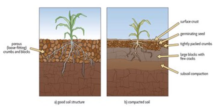 What causes loss of soil nutrients?