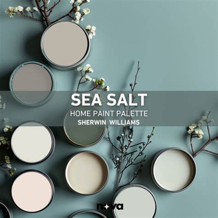 What colors look good with Sherwin Williams sea salt?