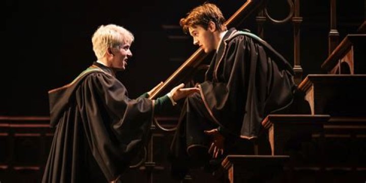 What did Harry and Albus do at the end of the play?